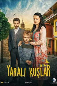 Раненые птицы 163 серия